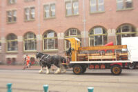 Amsterdam~オランダ・アムステルダム~