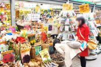 Amsterdam~オランダ・アムステルダム~