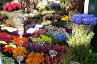 Amsterdam~オランダ・アムステルダム~