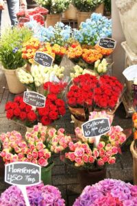 Amsterdam~オランダ・アムステルダム~