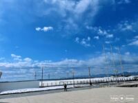 ROYCE' CACAO & CHOCOLATE TOWN / ロイズタウン駅近く ロイズチョコレート直営店 (2022/3/1 Open)